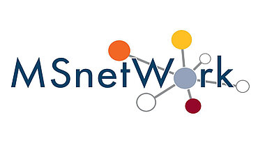 Logo des MSnetWork.