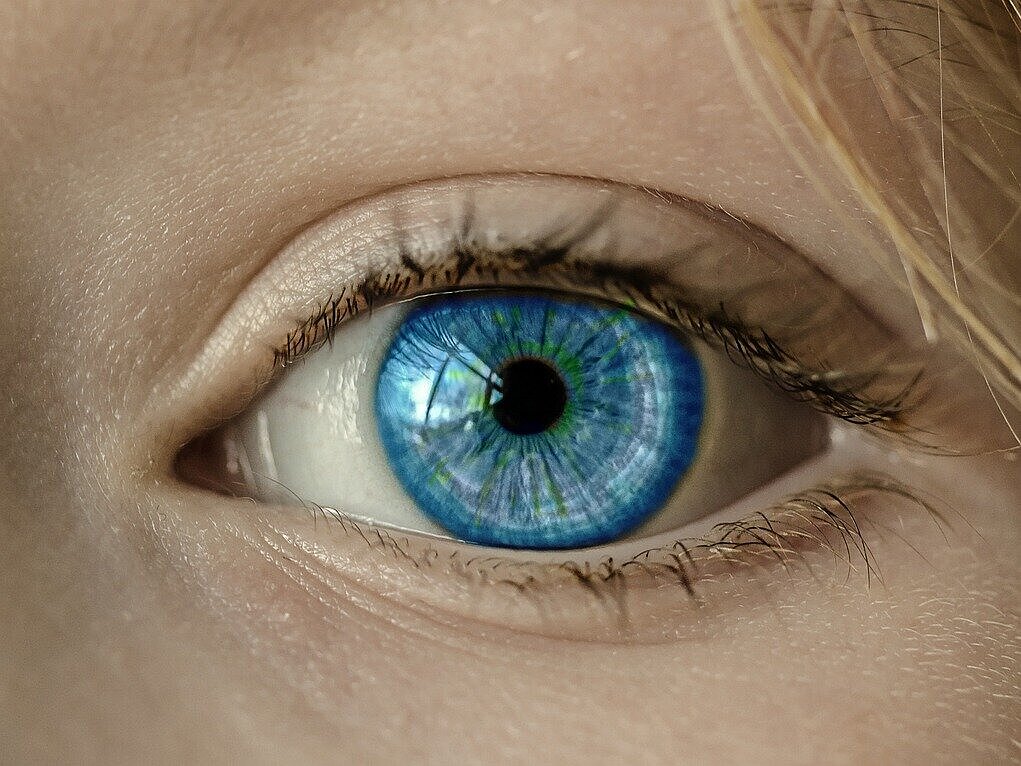 Ausschnitt eines Frauengesichts mit Fokus auf das linke Auge.