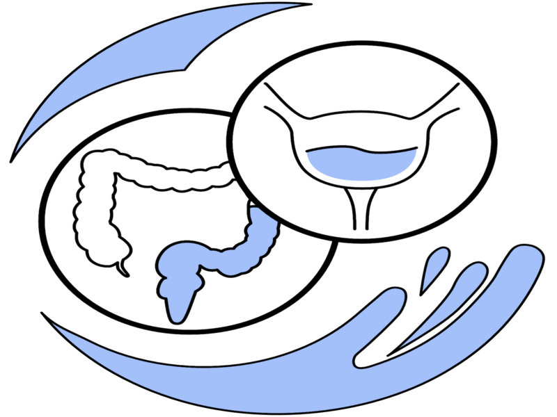 Stilisierte Zeichnungen von Blase und Darm.