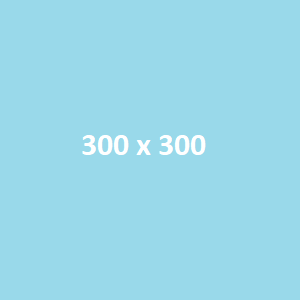Titel des Bildes 300x300 Alternativer Text des Bildes 300x300